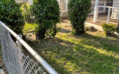 Photo of Carolyn S.'s yard after getting landscaping in Remington, VA