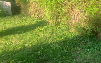 Photo of Nicole M.'s yard after getting landscaping in Petersburg, KY
