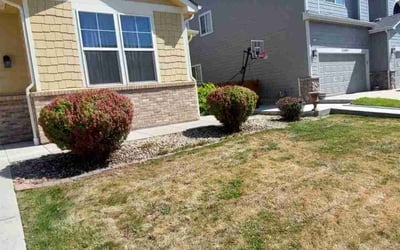 Photo of Jessica L.'s yard after getting landscaping in Henderson, CO