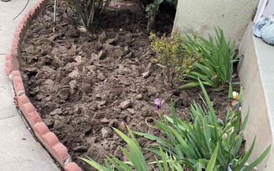 Photo of Monique A.'s yard after getting tree care in Anaheim, CA