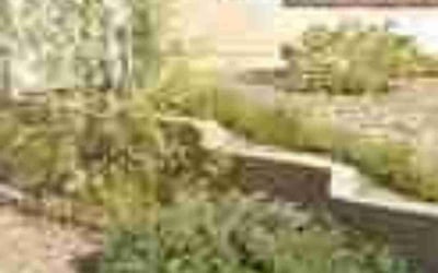 Photo of Ricky S.'s yard after getting landscaping in Rancho Mirage, CA