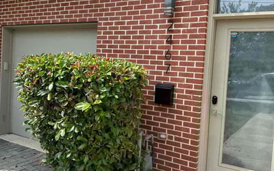 Photo of Andre M.'s yard after getting landscaping in Washington, VA