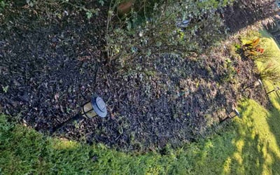 Photo of Joseph B.'s yard after getting landscaping in Holly Springs, GA