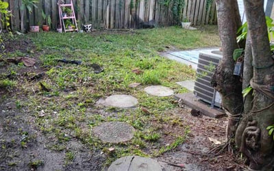 Photo of Theresa C.'s yard after getting landscaping in Palm Beach Gardens, FL