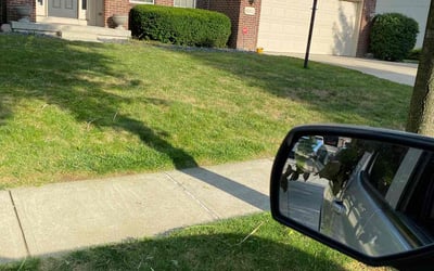 Photo of Robert C.'s yard after getting landscaping in Greencastle, IN