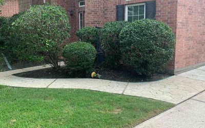 Photo of Lin Z.'s yard after getting tree care in Houston, TX
