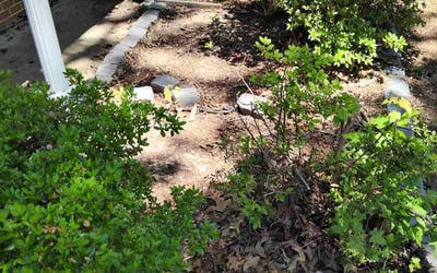 Photo of Daniel E.'s yard after getting landscaping in Virginia Beach, VA