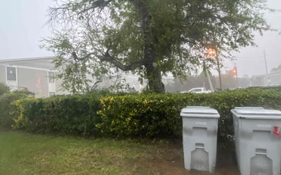 Photo of Sharon F.'s yard after getting landscaping in Gulf Breeze, FL