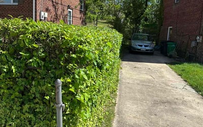 Photo of Matt H.'s yard after getting landscaping in Temple Hills, MD