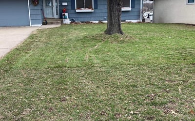 Photo of Jean M.'s yard after getting landscaping in Somerset, WI