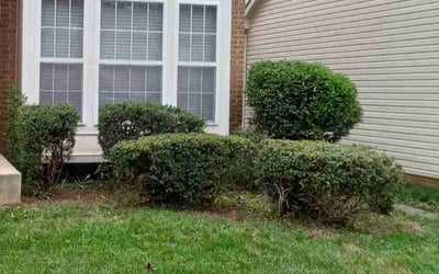 Photo of Janice W.'s yard after getting landscaping in Castleton, VA