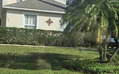 Photo of Merna T.'s yard after getting landscaping in Goldenrod, FL