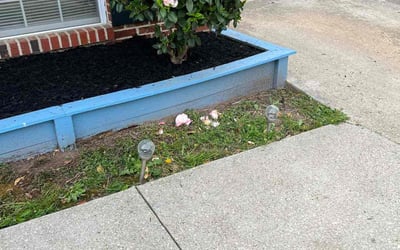 Photo of Maria B.'s yard after getting landscaping in Stevensville, MD
