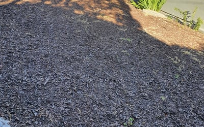 Photo of Angela M.'s yard after getting landscaping in Malibu, CA