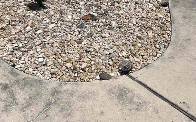 Photo of Nicole J.'s yard after getting landscaping in New Braunfels, TX