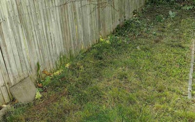 Photo of Pamela H.'s yard after getting landscaping in Trumbull, CT