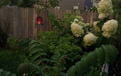 Photo of Linda S.'s yard after getting landscaping in Mount Perry, OH