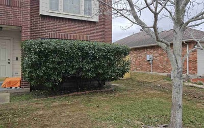 Photo of Joseph M.'s yard after getting landscaping in Kemah, TX