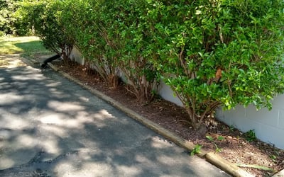 Photo of Justin M.'s yard after getting landscaping in Powhatan, VA