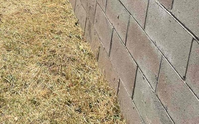 Photo of Daniel T.'s yard after getting landscaping in Trabuco Canyon, CA