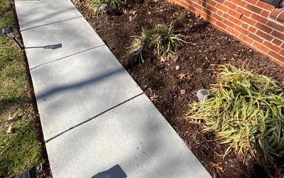 Photo of Shelia L.'s yard after getting landscaping in Gibsonville, NC