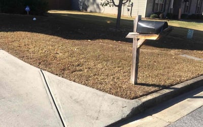 Photo of Susan F.'s yard after getting landscaping in Jersey, GA