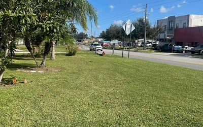 Photo of Robert S.'s yard after getting landscaping in Mid Florida, FL