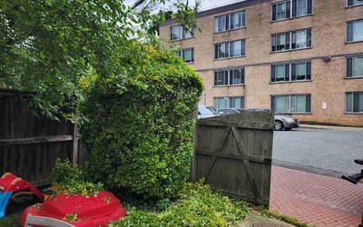 Photo of Nate T.'s yard after getting landscaping in Port Republic, MD