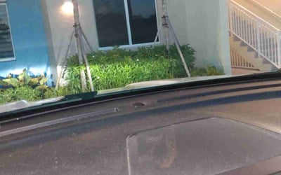Photo of Heather G.'s yard after getting landscaping in Pahokee, FL