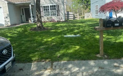 Photo of Joseph H.'s yard after getting landscaping in Hamilton, VA
