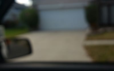 Photo of Jessie R.'s yard after getting landscaping in Astor, FL