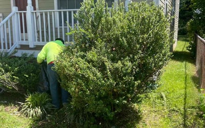 Photo of Michael H.'s yard after getting landscaping in Rockville, VA