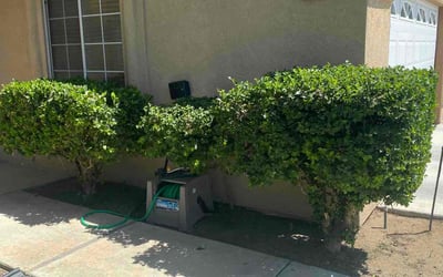 Photo of Doris H.'s yard after getting landscaping in Rosamond, CA