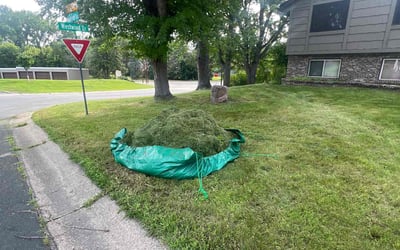 Photo of Joy M.'s yard after getting tree care in Hastings, MN