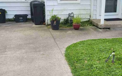 Photo of Jill H.'s yard after getting landscaping in West Jefferson, OH