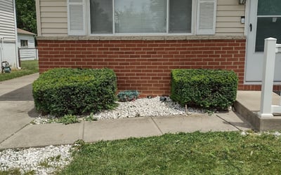 Photo of Jon T.'s yard after getting tree care in Canal Winchester, OH