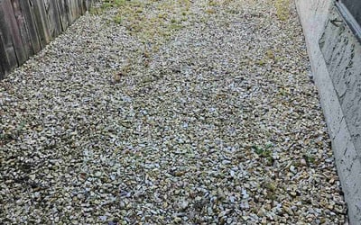 Photo of James L.'s yard after getting landscaping in Tahoe City, CA