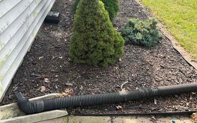 Photo of Victoria A.'s yard after getting tree care in Indianapolis, IN