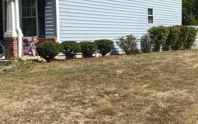 Photo of Courtney C.'s yard after getting landscaping in Trafalgar, IN
