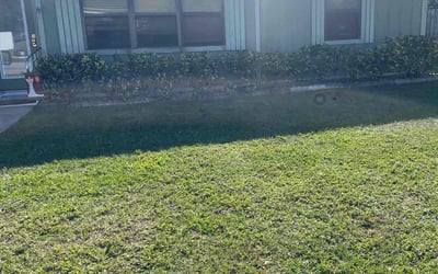 Photo of Teresita F.'s yard after getting tree care in Englewood, FL