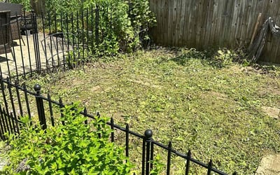 Photo of Janice B.'s yard after getting landscaping in Southport, CT