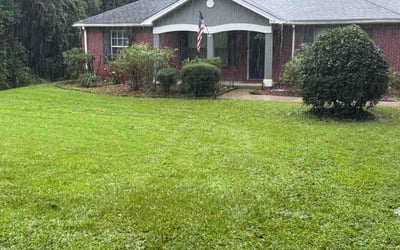 Photo of Kellie M.'s yard after getting tree care in Havana, FL