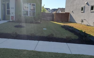 Photo of Emery M.'s yard after getting tree care in Austin, TX