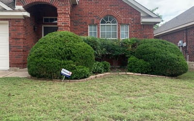 Photo of Merritt M.'s yard after getting landscaping in Godley, TX