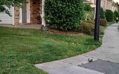 Photo of Shailesh N.'s yard after getting landscaping in Morrisville, NC