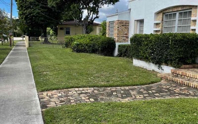 Photo of Mark F.'s yard after getting tree care in Opa Locka, FL