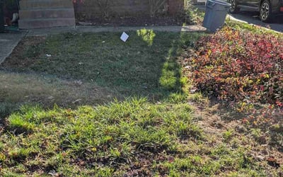 Photo of Linda M.'s yard after getting landscaping in Logan, OH