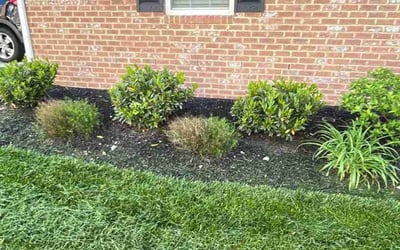 Photo of efua t.'s yard after getting landscaping in Knoxville, MD