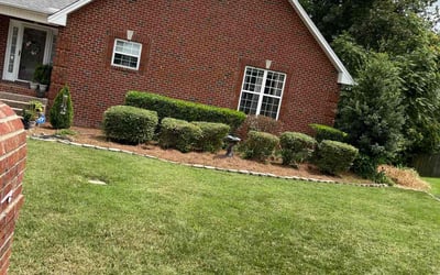 Photo of Barbara V.'s yard after getting landscaping in Hermitage, TN