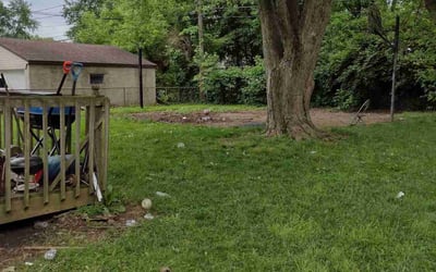 Photo of Jennifer C.'s yard after getting tree care in Columbus, OH